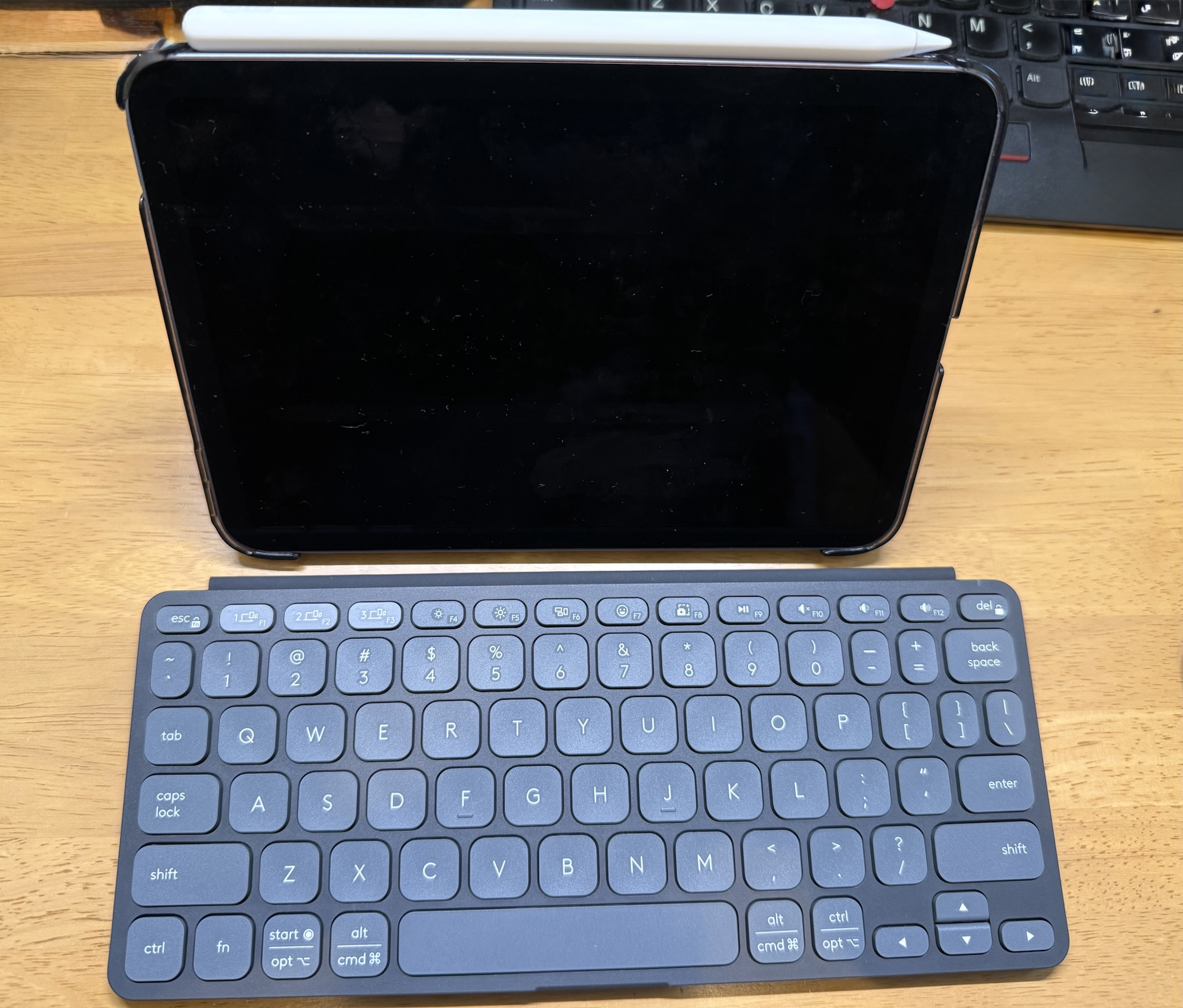 iPad miniと並べたサイズ感